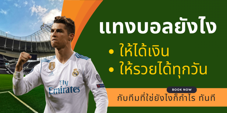 วิธีแทงบอลให้ได้เงิน